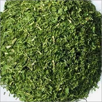 Coriander Leaves