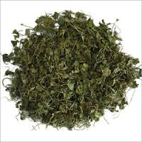 Fenugreek