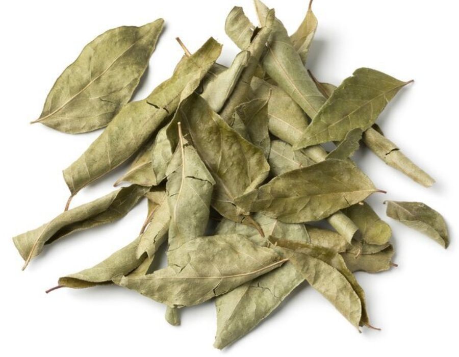 Curry Leaves