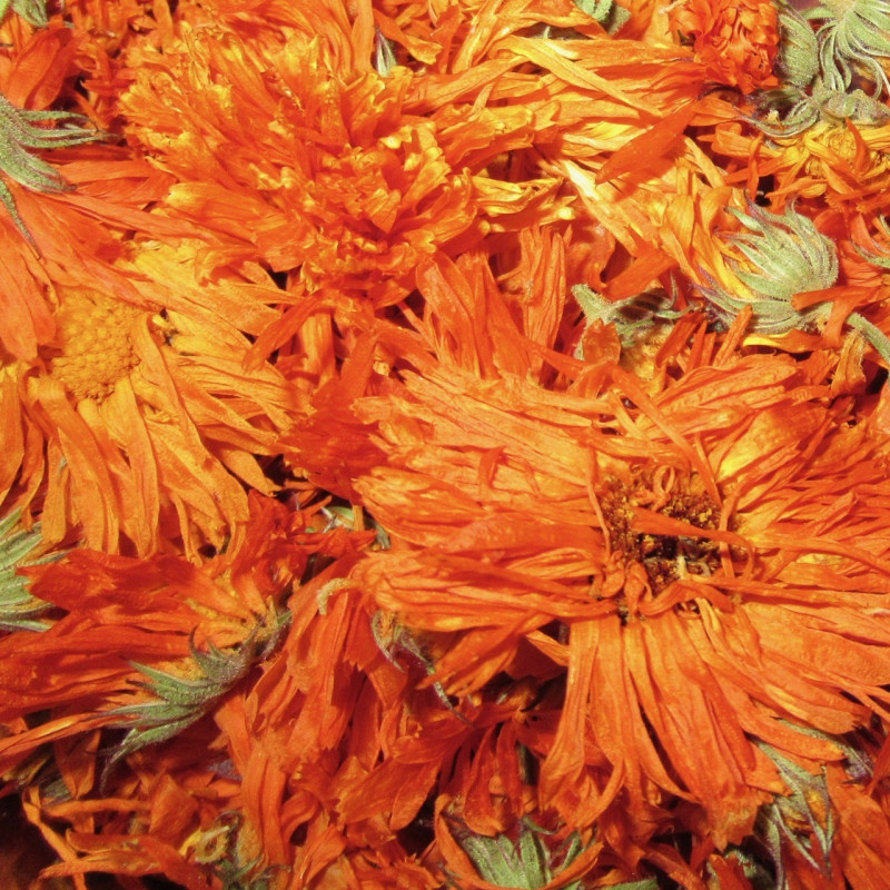 Dried Calendula
