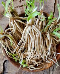 Dried Allium Hookery