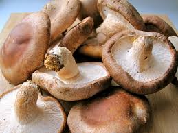 Shiitake